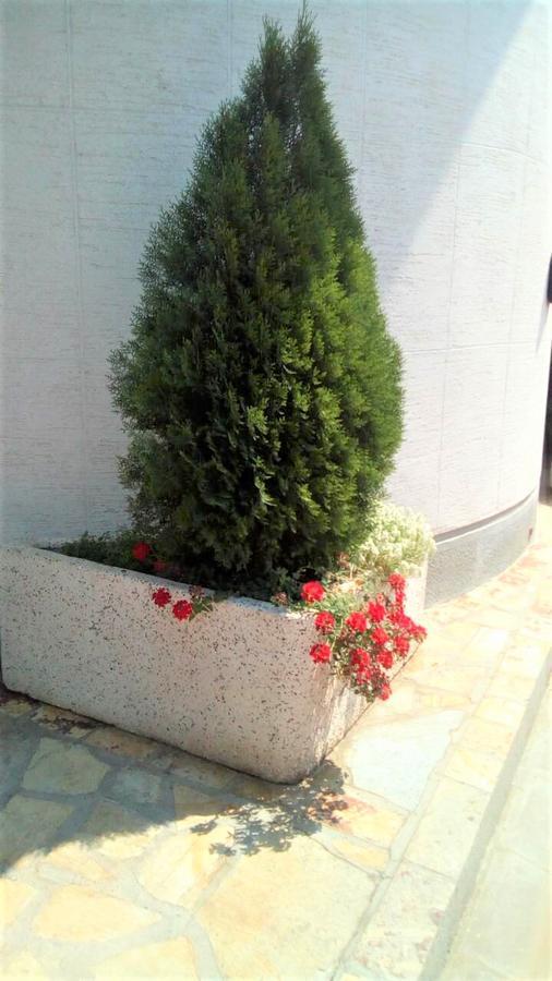 Hotel Tehnograd Kraljevo Luaran gambar